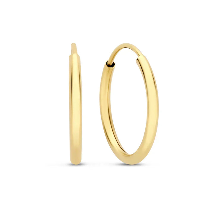 Roxie | Earrings 14k Gold Gold
